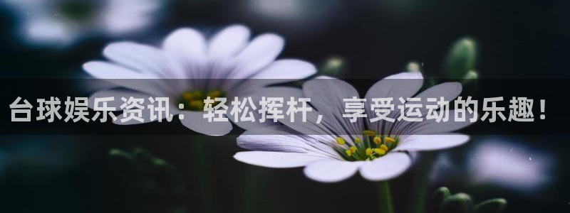 益达娱乐平台