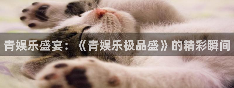 益达娱乐游戏有哪些好玩的：青娱乐盛宴：《青娱乐极品盛》的精彩瞬间