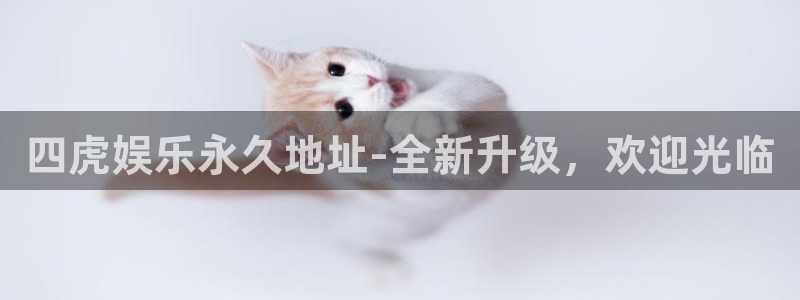 益达娱乐体育凯捷代理注册：四虎娱乐永久地址-全新升级，欢迎光临