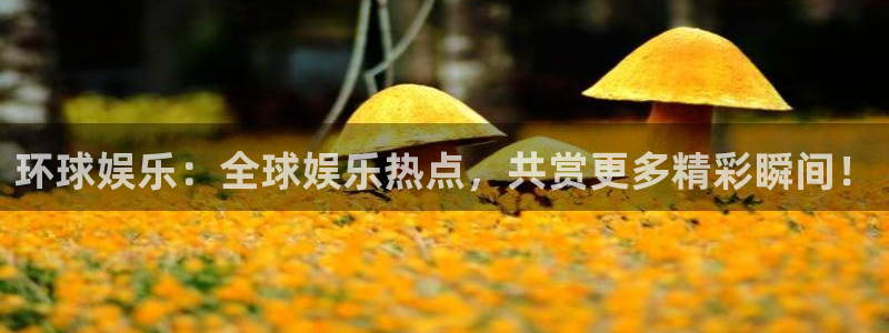 益达娱乐体育平台注册：环球娱乐：全球娱乐热点，共赏更多精彩瞬间！