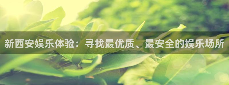 益达娱乐2登录：新西安娱乐体验：寻找最优质、最安全的娱乐场所