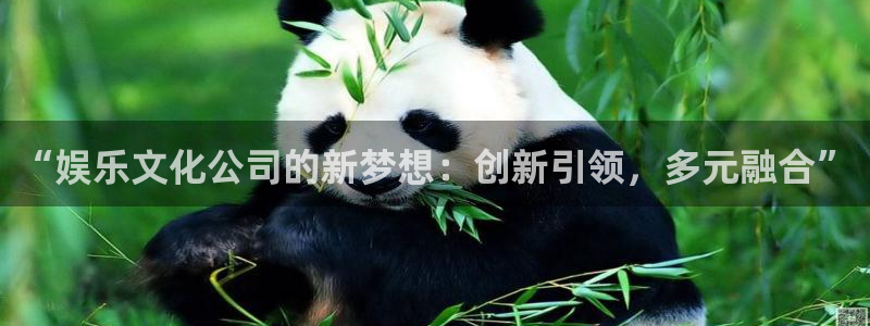 益达娱乐5：“娱乐文化公司的新梦想：创新引领，多元融合”