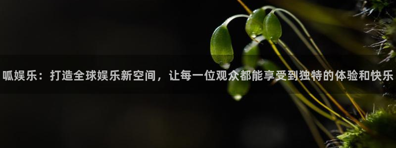 益达娱乐游app：呱娱乐：打造全球娱乐新空间，让每一位观众都能享受到独特的体验和