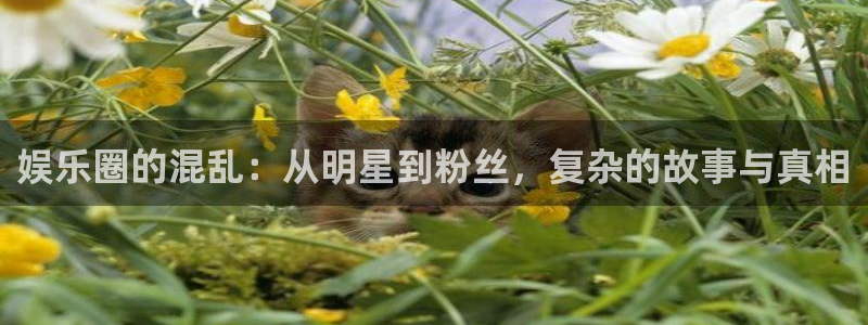 益达娱乐官网版：娱乐圈的混乱：从明星到粉丝，复杂的故事与真相