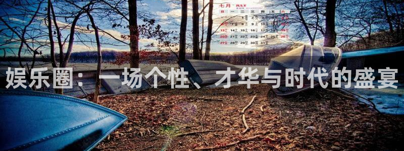 益达娱乐加拿大官网：娱乐圈：一场个性、才华与时代的盛宴