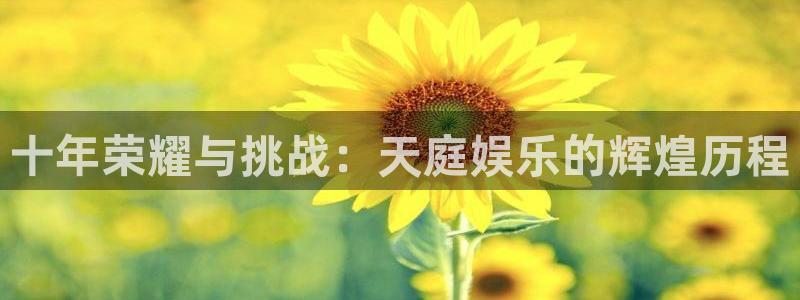 益达娱乐2平台：十年荣耀与挑战：天庭娱乐的辉煌历程
