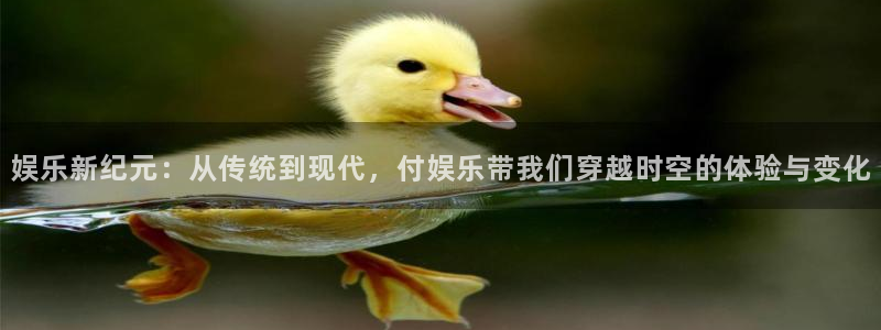益达娱乐主管：娱乐新纪元：从传统到现代，付娱乐带我们穿越时空的体验与变化