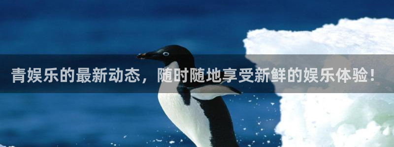益达娱乐集团官网：青娱乐的最新动态，随时随地享受新鲜的娱乐体验！