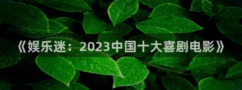 益达娱乐体育和杏耀是哪个公司的：《娱乐迷：2023中国十大喜剧电影》