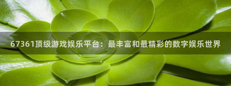 益达娱乐quan28.cc：67361顶级游戏娱乐平台：最丰富和最精彩的数字娱乐