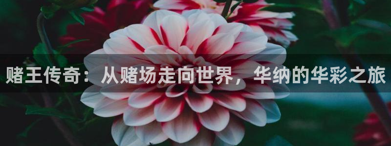 益达娱乐体育eon：赌王传奇：从赌场走向世界，华纳的华彩之旅