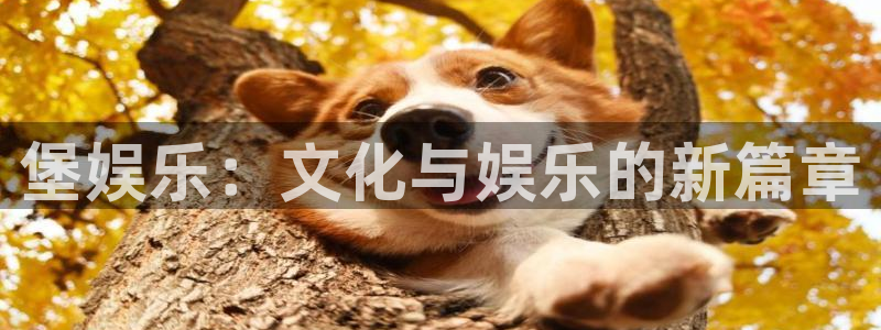 益达娱乐体育网页版入口：堡娱乐：文化与娱乐的新篇章
