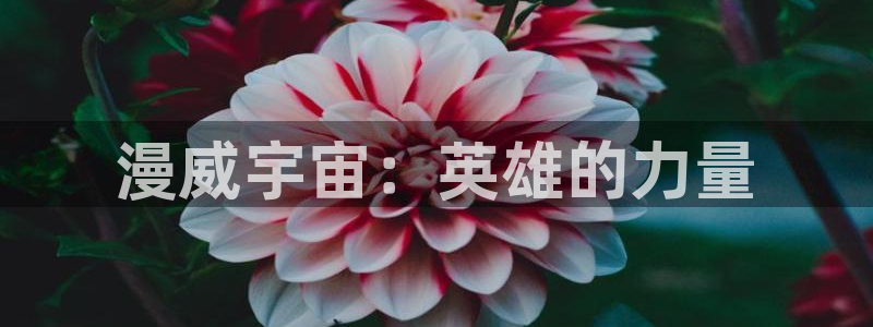 益达娱乐官网入口：漫威宇宙：英雄的力量