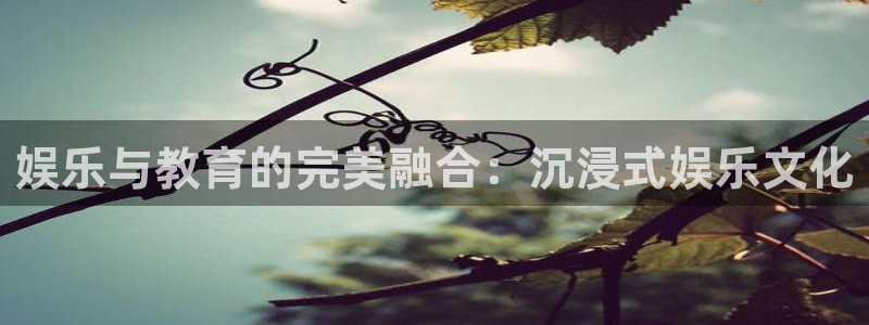 益达娱乐下载入口：娱乐与教育的完美融合：沉浸式娱乐文化