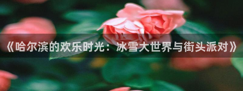 益达娱乐4平台：《哈尔滨的欢乐时光：冰雪大世界与街头派对》