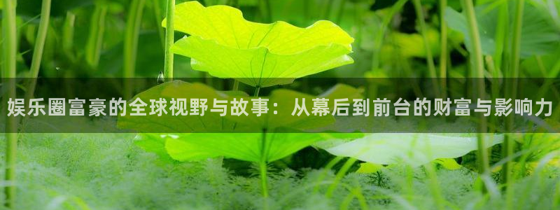 益达娱乐链接：娱乐圈富豪的全球视野与故事：从幕后到前台的财富与影响力