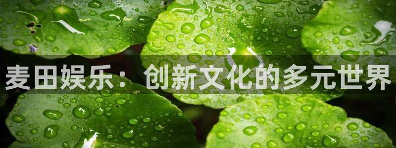 南宫益达娱乐官网下载链接