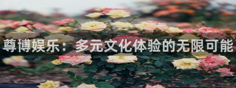 东莞市益达娱乐电子科技有限公司：尊博娱乐：多元文化体验的无限可能