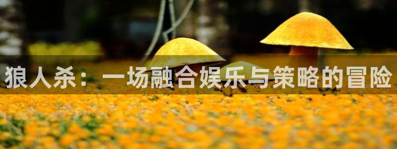 益达娱乐平台官方网站：狼人杀：一场融合娱乐与策略的冒险